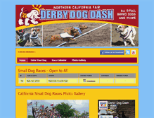 Tablet Screenshot of derbydogdash.com
